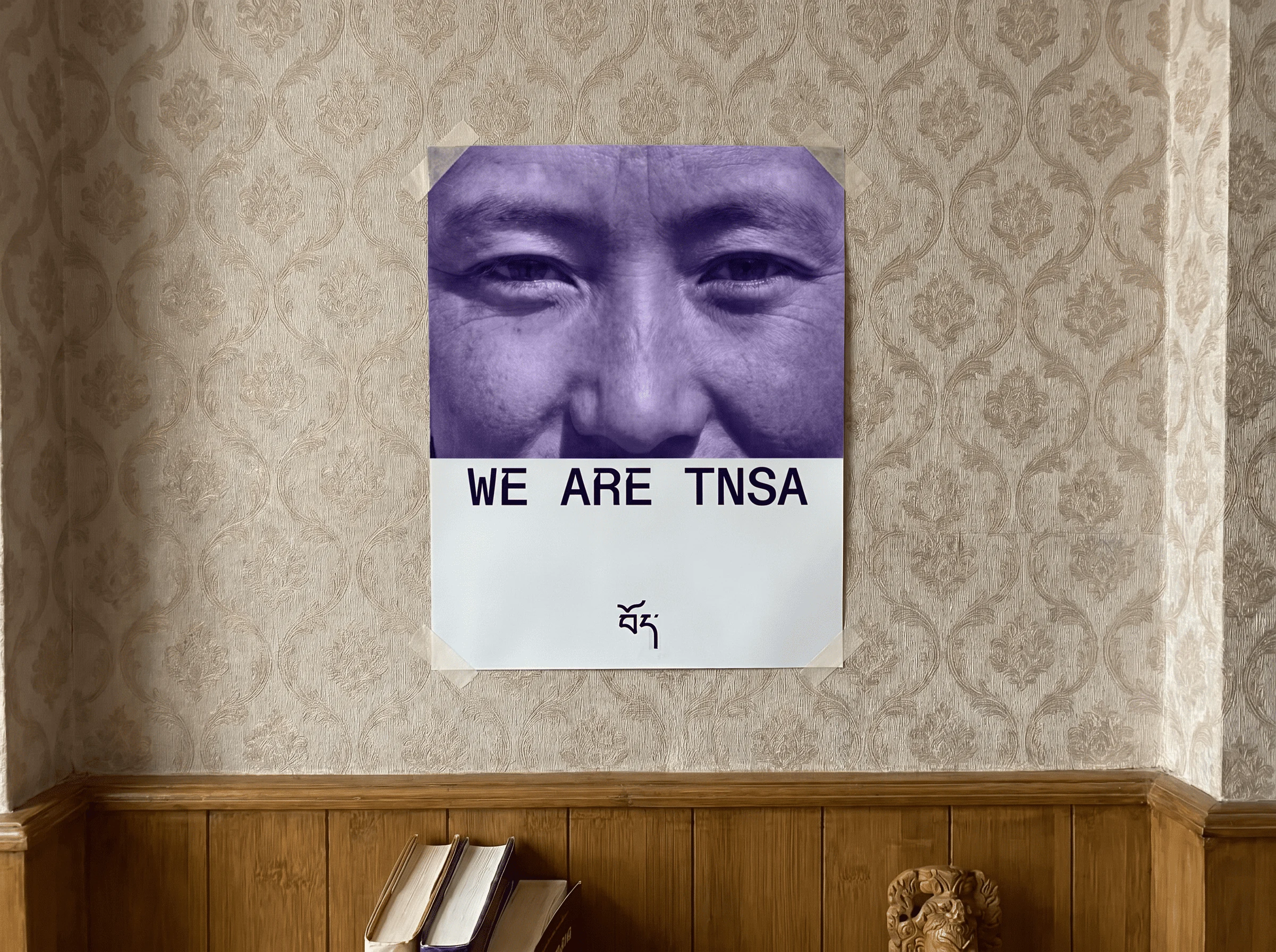 TNSA identity overview poster